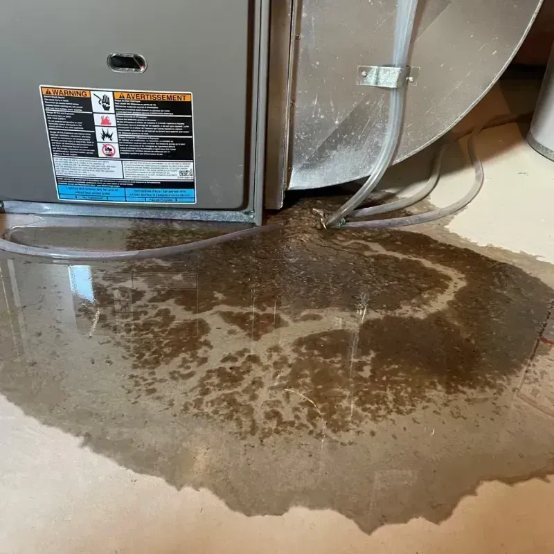 Appliance Leak Cleanup in Port Hadlock-Irondale, WA